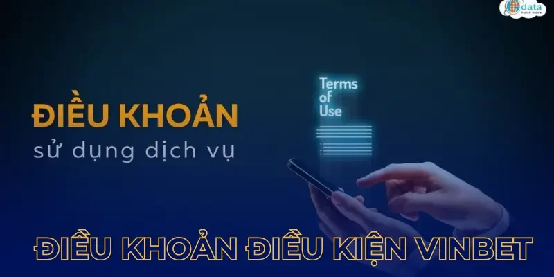 Tổng hợp những điều khoản sử dụng Vinbet cho tân thủ